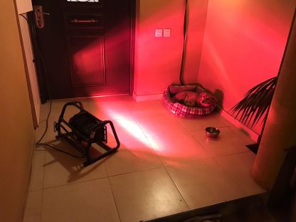 ⁦תנור חימום אינפרא אדום SAFARI 1,200W SMART HEAT⁩ – תמונה ⁦2⁩